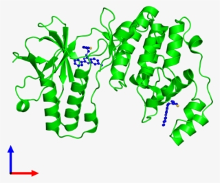 Monomeric Assembly 1 Of Pdb Entry 5n65 Coloured By - Protein Data Bank
