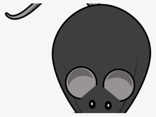 Mouse Animal Cliparts - Rat