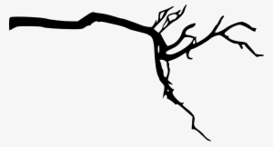 Tree Branch Silhouette Png Download - Transparent Background Tree Branch
