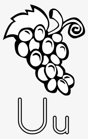 This Free Icons Png Design Of Letra U De Uvas