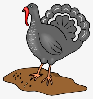 Clip Library Library Baby Turkey Clipart - Fowls Animals Clipart Turkey