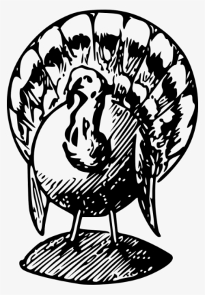 Turkey Png Black And White
