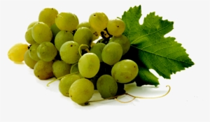 Uvas - Grape