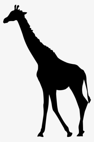 Transparent Clip Art Image - Giraffe Silhouette Png