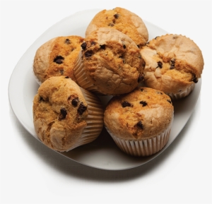 Chocolate Chip Muffins - Choc Chip Muffin Png