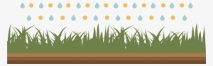 A Good Long-term Fertiliser Will Make Your Grass Stronger, - Shutterstock