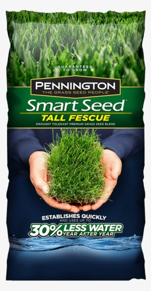 Addthis Sharing Buttons - Pennington 3 Lb. Tall Fescue Shade Grass Seed Pc Mix