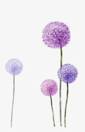 Colored Dandelion Png Photos - Allium Tattoo