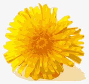 Steve Yellow, Plants, Flower, Flowers, Cartoon, Bloom, - Dandelion Clip Art