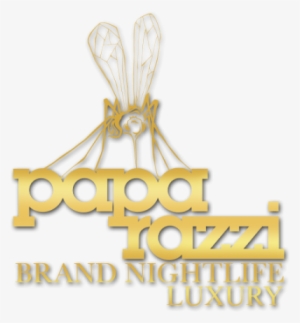Paparazzi Light Pictures Png Images - Jewellery