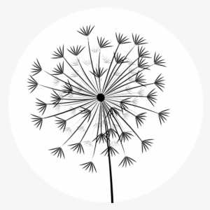 Circle
