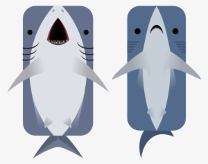 Animal - Blue Shark