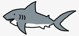 Shark Fin Outline - Shark Clipart Transparent Cute