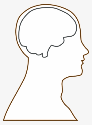 Different Brain In Heads - Blank Brain