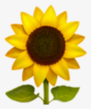 White Flower Emoji Source - Sunflower Emoji Png