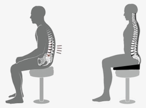 Sit On A Wedge Especially When You Have No Back Support - Spine In Sitting Position