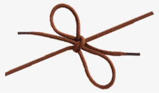 Shoelaces Png
