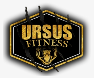 Host - Ursus Fitness