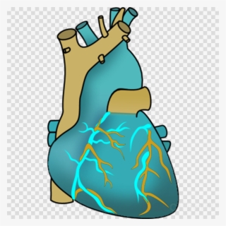 Human Heart Clipart Heart Human Body Clip Art - Clip Art