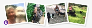 The 'dee' Team Are Fully Experienced In All Aspects - Basenji