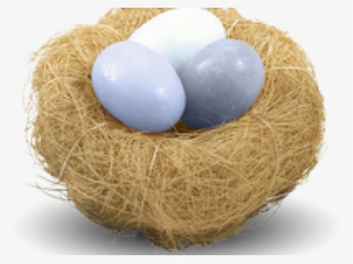 Nest Png Transparent Images - Egg In Nest