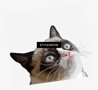 Grumpy Illustration Meme - Schoolsupplies Grumpy Cat Mouse Pad, Office & Gaming