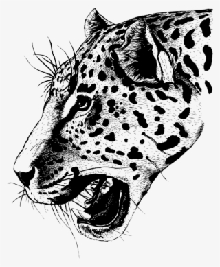 Leopard Face Free Png Image - Dessin Tete De Leopard