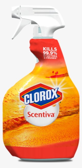 Clorox Multi Surface Cleaner
