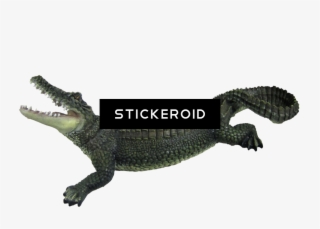 Crocodile Animals - Alligators Png