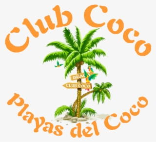 Cocologo1bi - Coconut Tree Png Clipart