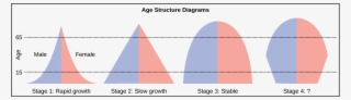 Figure 45 05 03 - Rapid Growth Age Structure Diagram