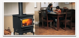 Safe Chimney, Sterling Service, Affordable Price - Wood Burning Stove