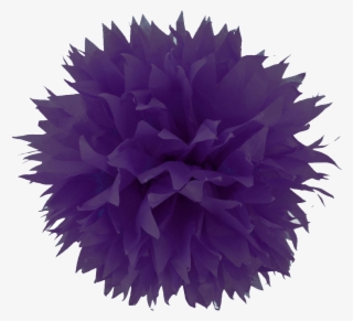 Transparent Pom Pom Png