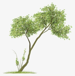 Png Download Baannueng Kata Room Clip Art Green Tree - Trees Png