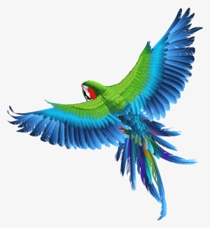 Transparent Parrot Clipart Picture - Birds Png Image Hd