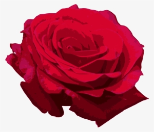Red Roses Png - Portable Network Graphics
