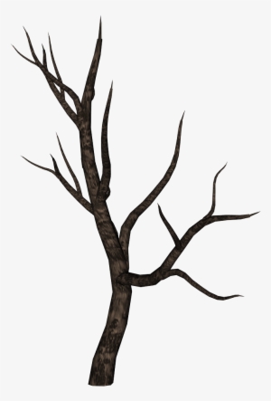 Tree Branches Silhouette At - Surrealism Png