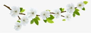 Branch And Flowers - Spring Divider Clip Art