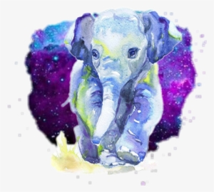 Colorful Watercolor Elephant Space - Aquarelle Pour Chambre Bébé Fille