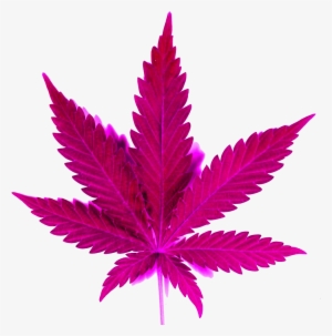 Smoke Clipart Png Tumblr - Marijuana Leaf 5'x7'area Rug