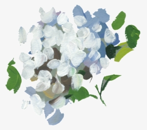Hand Painted A White Flower Ball Png Transparent - Errötende Rosewatercolor-hochzeits-liebe U. Dank Geschenkanhänger