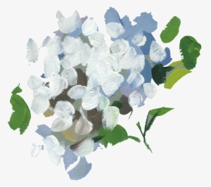 Hand Painted A White Flower Ball Png Transparent