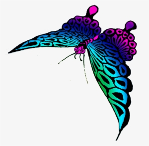 Strange Colored Butterfly