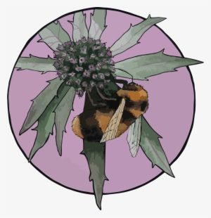 Bee And Thistle - Lissie Rydz Design