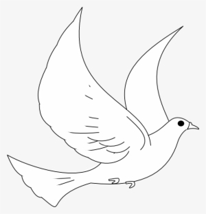 Drawn Turtle Dove Animated - Transparent Dove Vector Free