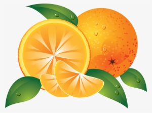 Best Free Orange Transparent Png Image - Fruit Clip Art Orange