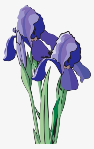 Clip Art Of Beautiful Flowers - Iris Clip Art