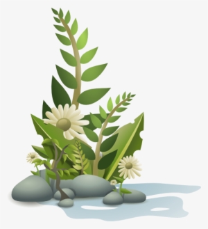Pebbles-plants - Plants Clipart