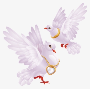 Pin By Aynur Bobaro Lu On Bride - Dove For Wedding Transparent Background Png