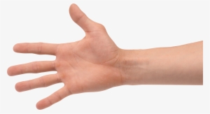 Hands Png Free Images - Transparent Hand Png